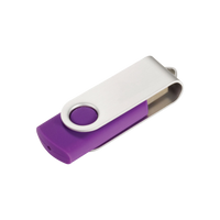 Purple 4GB USB Flash Drive  Thumb