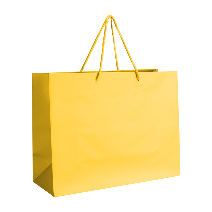 Sun Medium Matte Shopper Bag