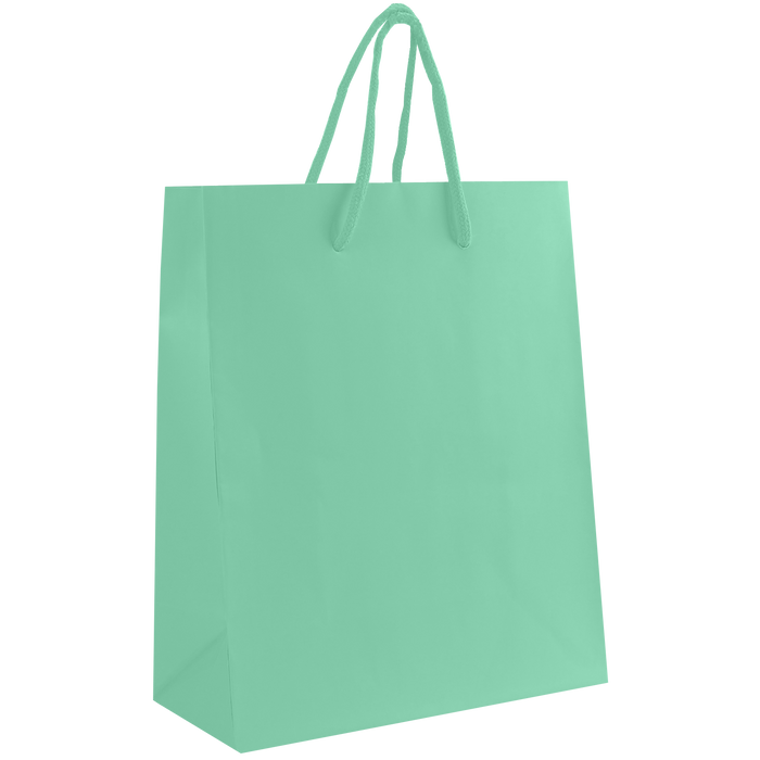 Aqua Small Matte Shopper Bag