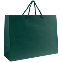 Hunter Green Medium Glossy Shopper Bag Thumb