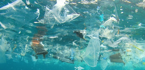 Why We Need to Sort Garbage
