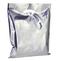 Silver Haunted House Bag (Silver) Thumb