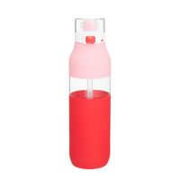 Strawberry Flip Cap Water Bottle with Straw Thumb