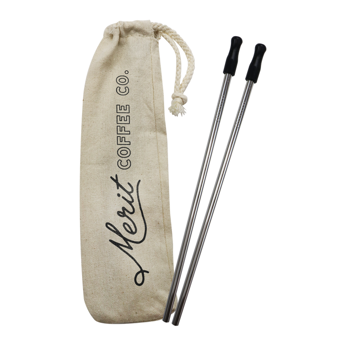  Reusable Stainless Straw Kit with Pouch