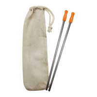 Orange Reusable Stainless Straw Kit with Pouch Thumb