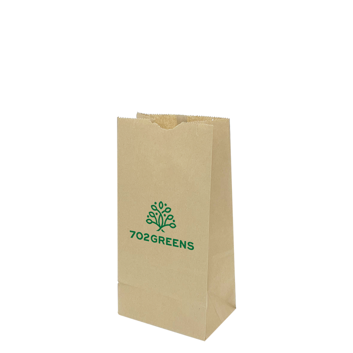 Medium Kraft Paper Bag