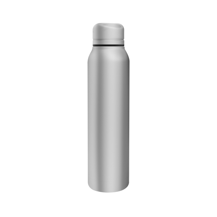 Stainless Steel Vacuum Insulated Thermos
