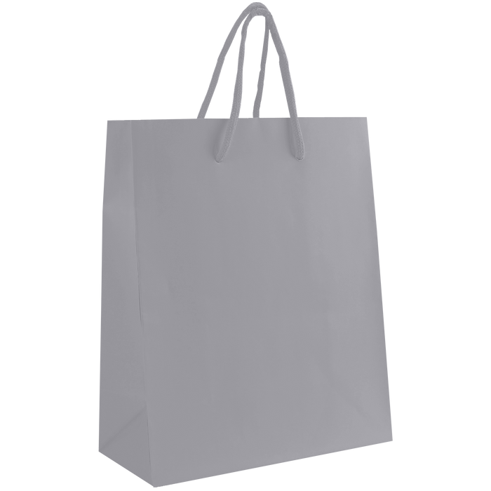 Platinum Small Matte Shopper Bag