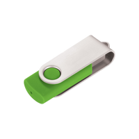 Lime Green 4GB USB Flash Drive  Thumb