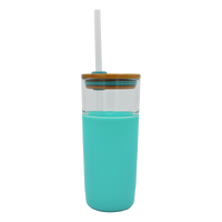 Mint Discontinued Glass Tumbler with Straw Thumb