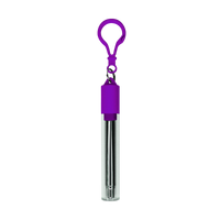 Purple Reusable Stainless Steel Straw Keychain Thumb