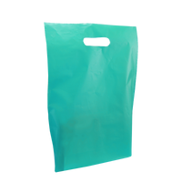 Teal Medium Frosted Die Cut Bag Thumb