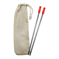 Red Reusable Stainless Straw Kit with Pouch Thumb