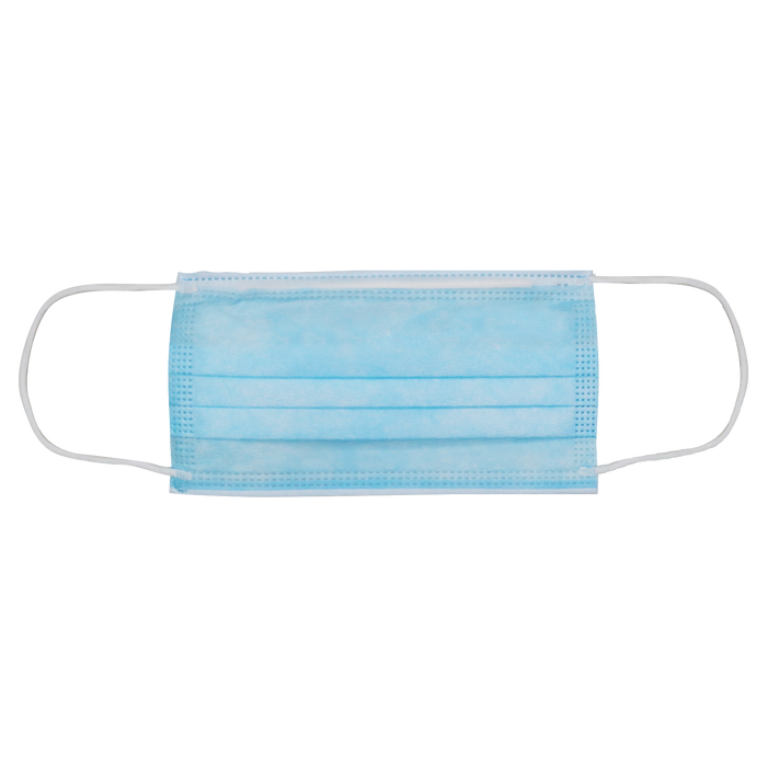  3 Ply Earloop Facemask