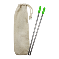 Lime Green Reusable Stainless Straw Kit with Pouch Thumb