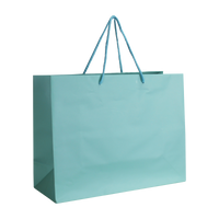 Aqua Medium Matte Shopper Bag Thumb