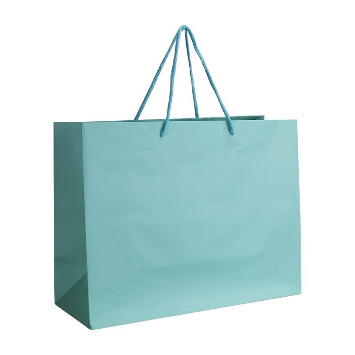 Aqua Medium Matte Shopper Bag