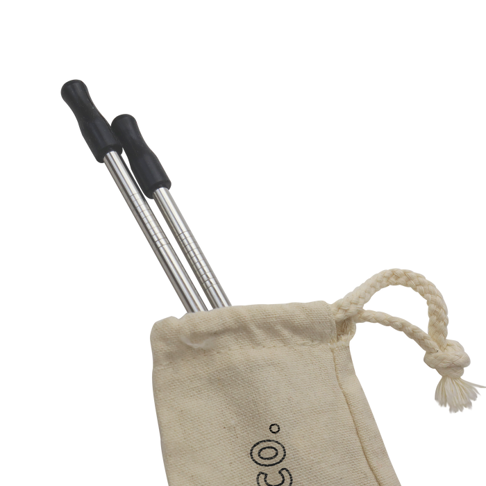  Reusable Stainless Straw Kit with Pouch