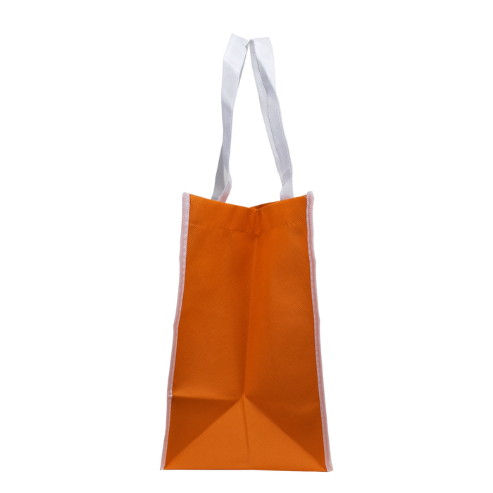  Two-Tone Little Storm Tote Bag