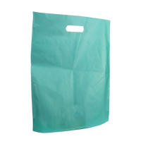 Teal Large Frosted Die Cut Bag Thumb
