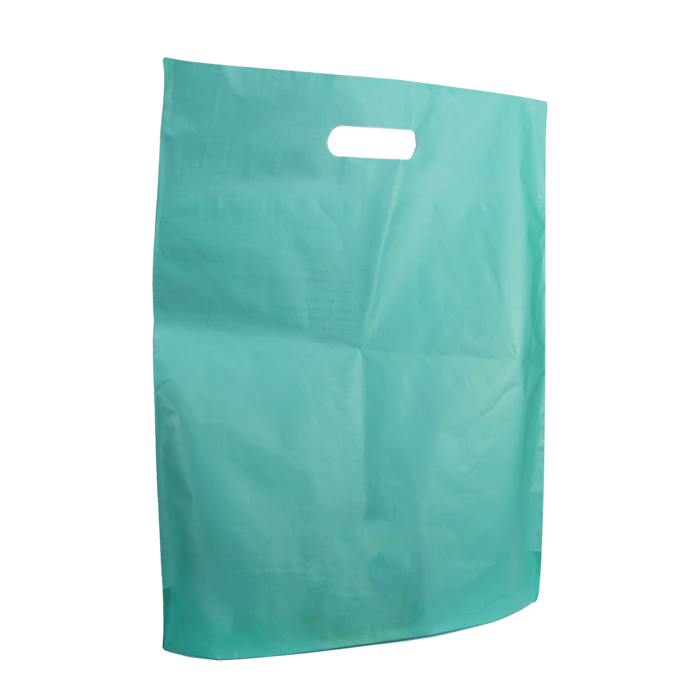 Teal Large Frosted Die Cut Bag
