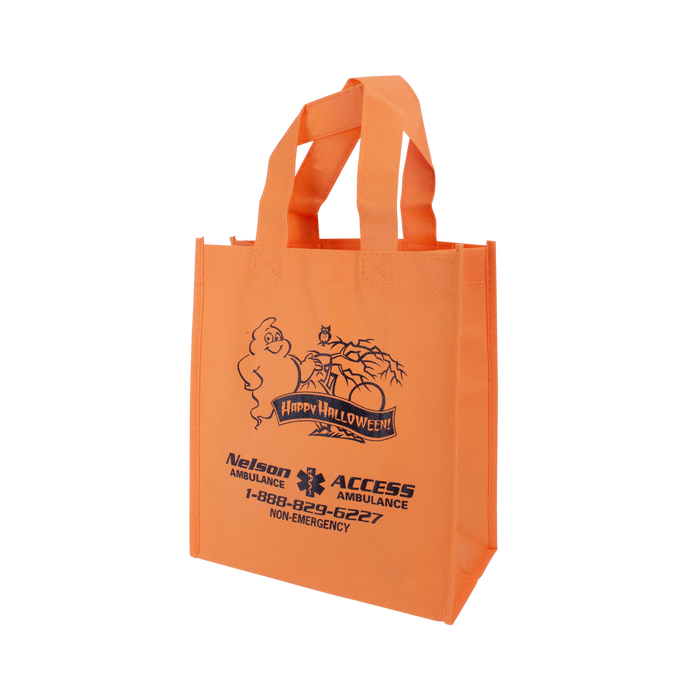  Halloween Fiesta Tote