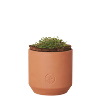  Modern Sprout® Mini Terracotta Herb Growing Kit Thumb