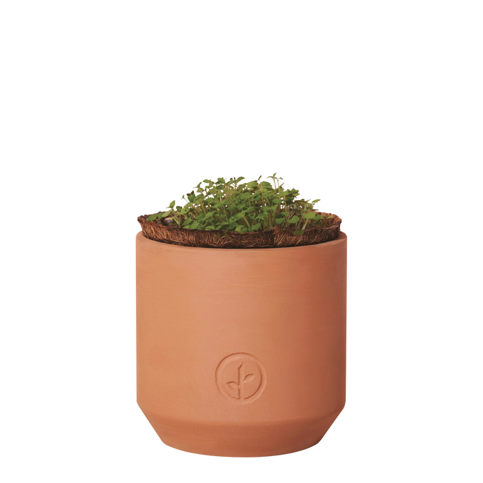 Modern Sprout® Mini Terracotta Herb Growing Kit
