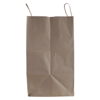  Extra Large Kraft Paper Shopper Thumb