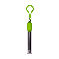 Lime Green Reusable Stainless Steel Straw Keychain Thumb