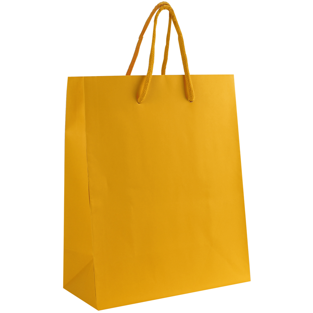 Matte Shopping Bag (8x4x10) – Golden State Print