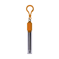 Orange Reusable Stainless Steel Straw Keychain Thumb