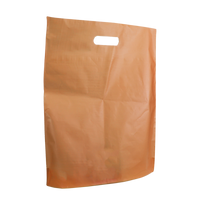 Tangerine Large Frosted Die Cut Bag Thumb