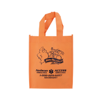  Halloween Fiesta Tote Thumb