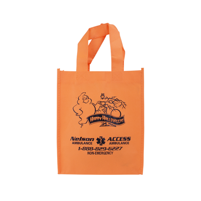  Halloween Fiesta Tote