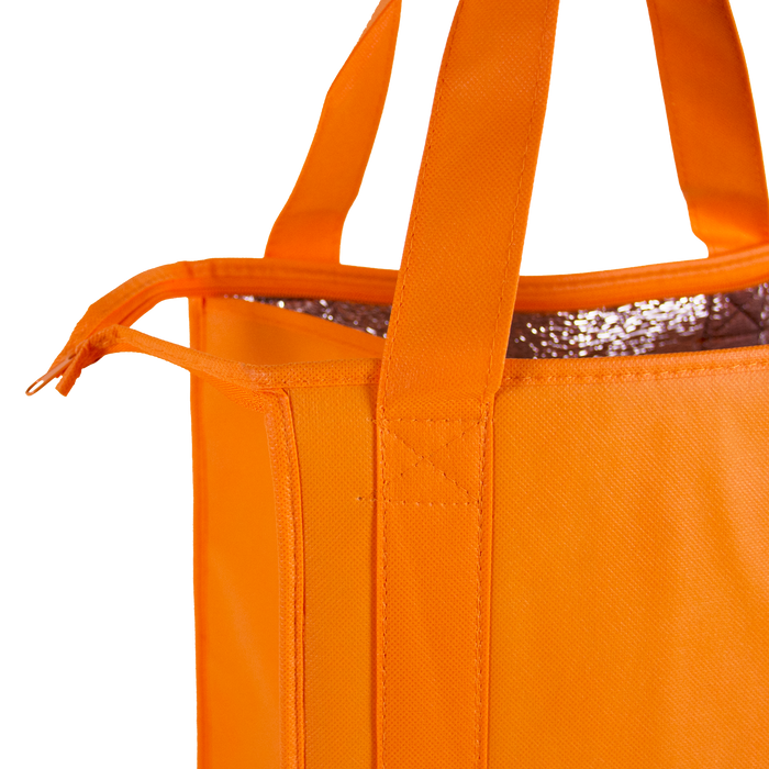  Standard Insulated Tote