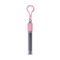 Pink Reusable Stainless Steel Straw Keychain Thumb