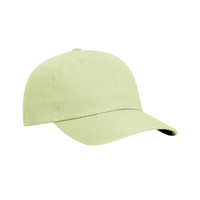 Patina Green Premium Cotton Dad Hat Thumb