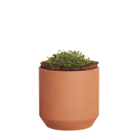 Terracotta Modern Sprout® Mini Terracotta Herb Growing Kit Thumb