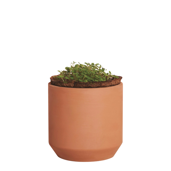 Terracotta Modern Sprout® Mini Terracotta Herb Growing Kit