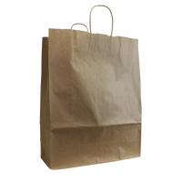 Natural DISCONTINUED - Tall Kraft Paper Shopper Bag Thumb