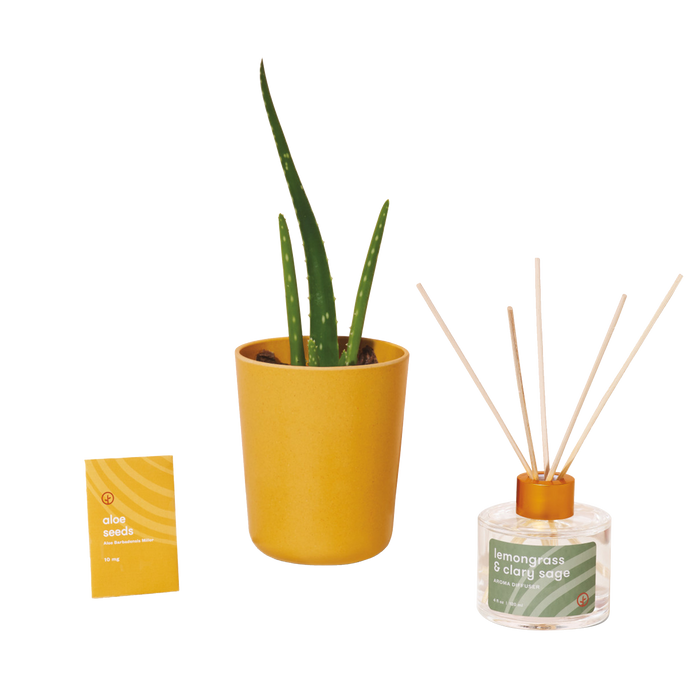 Mustard Modern Sprout® Aloe Growing Gift  Set