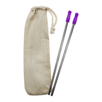 Purple Reusable Stainless Straw Kit with Pouch Thumb