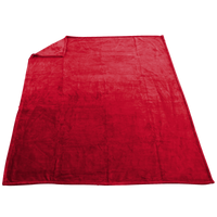 Red Taos Microfleece Throw Thumb