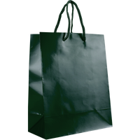 Hunter Green Small Glossy Shopper Bag Thumb